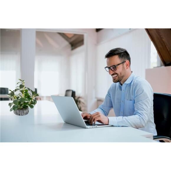 Artificial Plants Decor Greenery Fake Succulents Indoor Potted Fake Plant - Picture 3 of 7